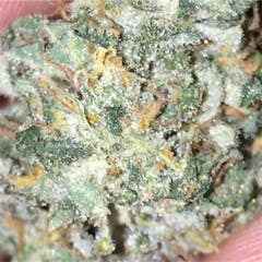 User uploaded image of Bloo's Kloos