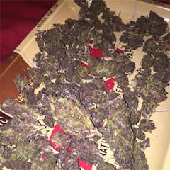 User uploaded image of Bloo's Kloos