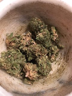 User uploaded image of Blowfish