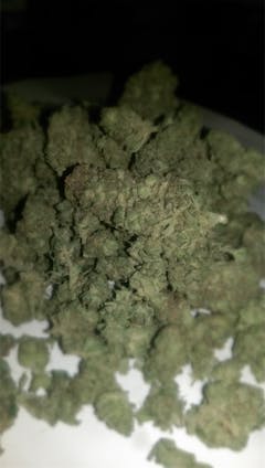 User uploaded image of Blowfish