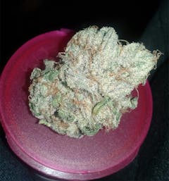 User uploaded image of Blucifer