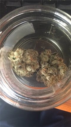 User uploaded image of Blucifer