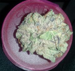 User uploaded image of Blucifer