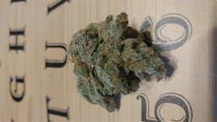 User uploaded image of Blucifer