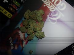 User uploaded image of Blue Afghani