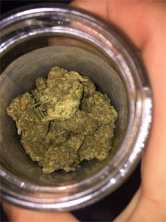 User uploaded image of Blue Alien