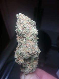 User uploaded image of Blue Alien