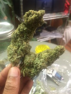 User uploaded image of Blue Bastard