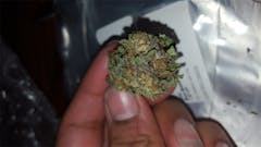 User uploaded image of Blue Bastard