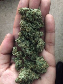 User uploaded image of Blue Bastard