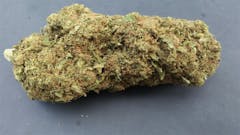 User uploaded image of Blue Bastard