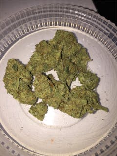 User uploaded image of Blue Bastard