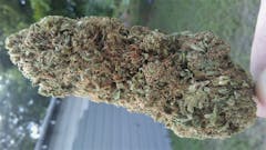 User uploaded image of Blue Bastard