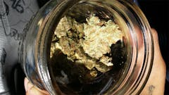 User uploaded image of Blue Blood