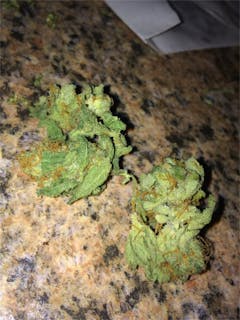 User uploaded image of Blue Boy