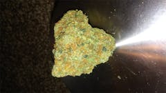 User uploaded image of Blue Boy