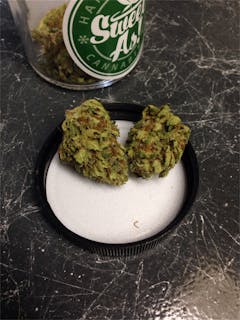 User uploaded image of Blue Boy