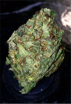 User uploaded image of Blue Boy