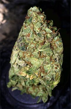 User uploaded image of Blue Boy