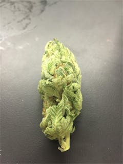 User uploaded image of Blue Boy