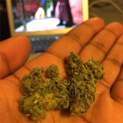 User uploaded image of Blue Boy