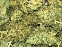 User uploaded image of Blue Buddha