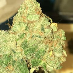 User uploaded image of Blue Buddha