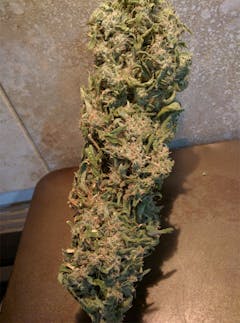 User uploaded image of Blue Buddha