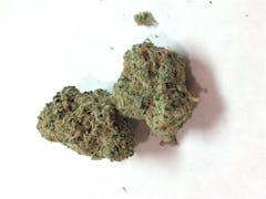 User uploaded image of Blue Champagne