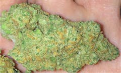 User uploaded image of Blue Champagne