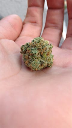 User uploaded image of Blue Champagne