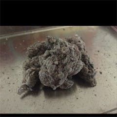 User uploaded image of Blue Cheese