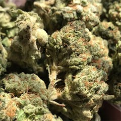 User uploaded image of Blue Cheese