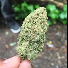 User uploaded image of Blue Cheese