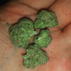 User uploaded image of Blue Cinex