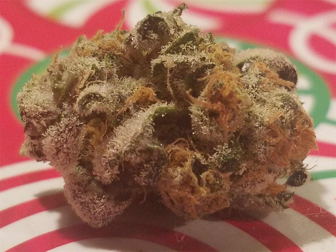 Photos of Blue Cookies Weed Strain Buds Leafly