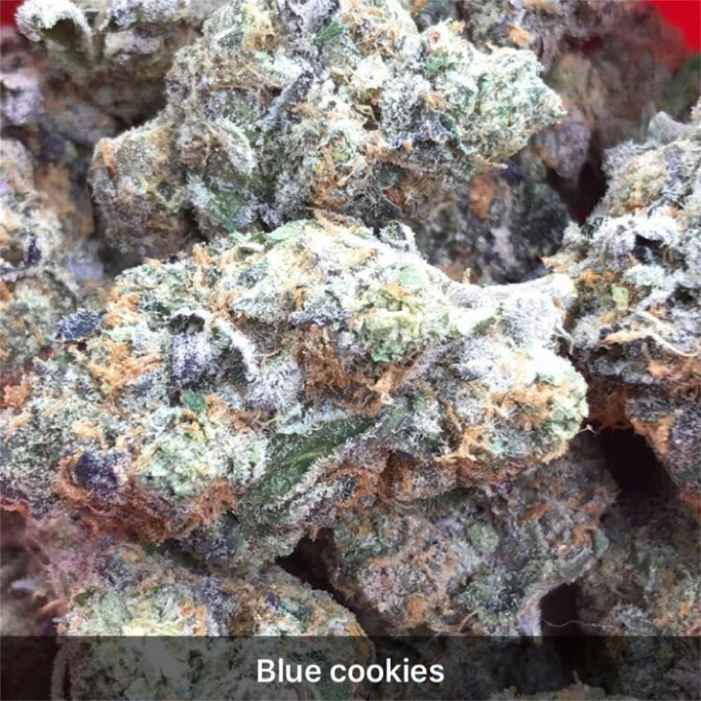 Photos of Blue Cookies Weed Strain Buds Leafly