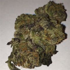 User uploaded image of Blue Cookies