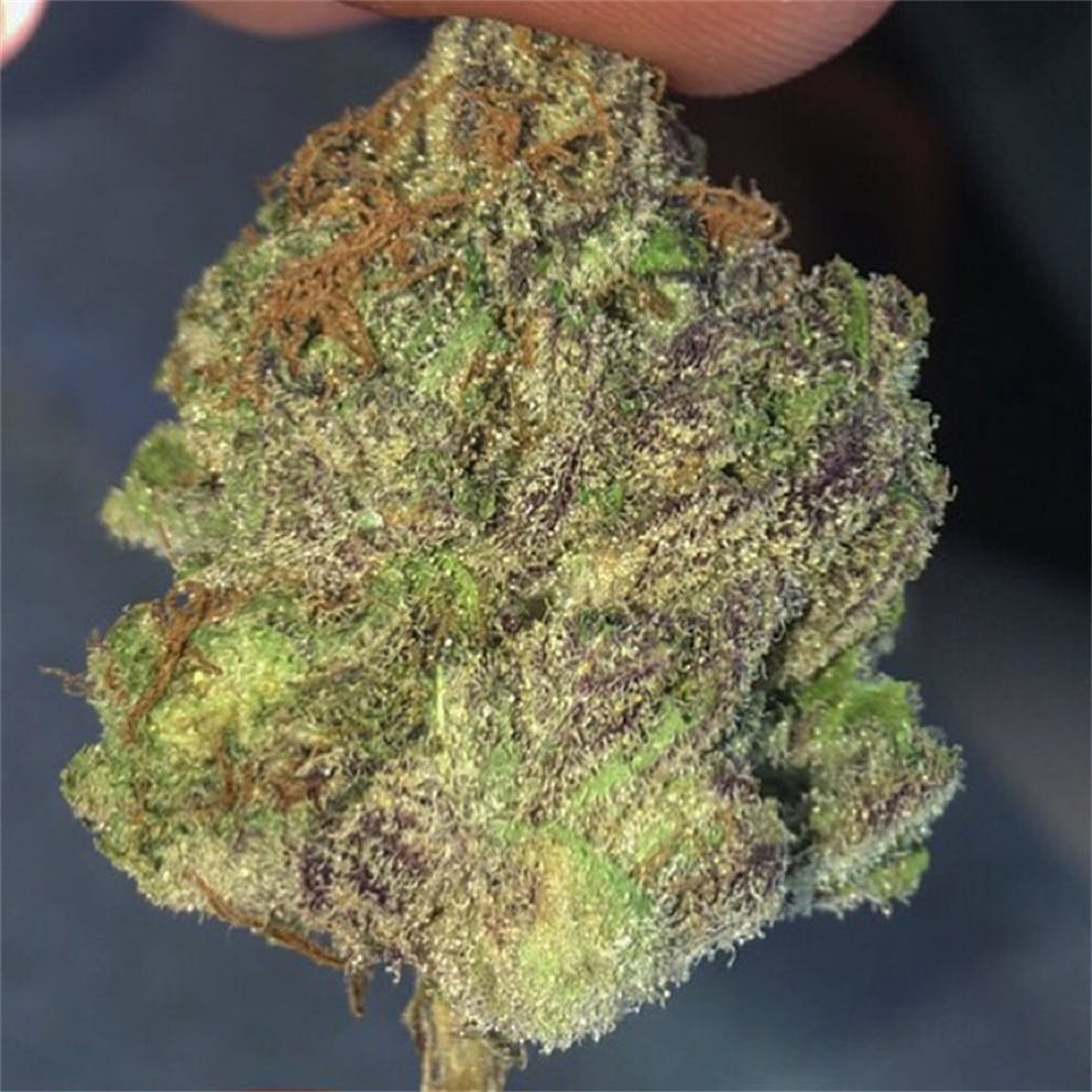 Photos of Blue Cookies Weed Strain Buds | Leafly