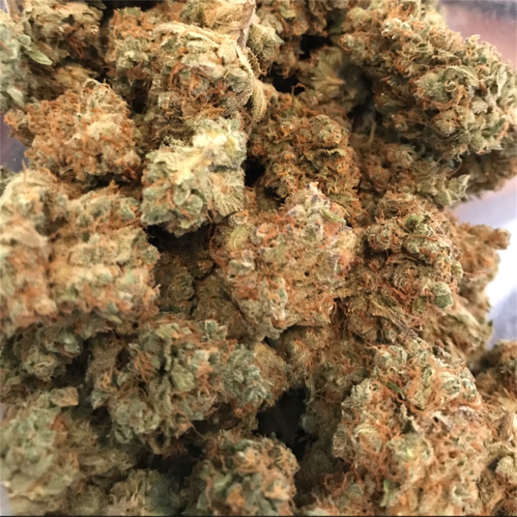 BLUE COOKIES - EXOTICS - High Quality Meds