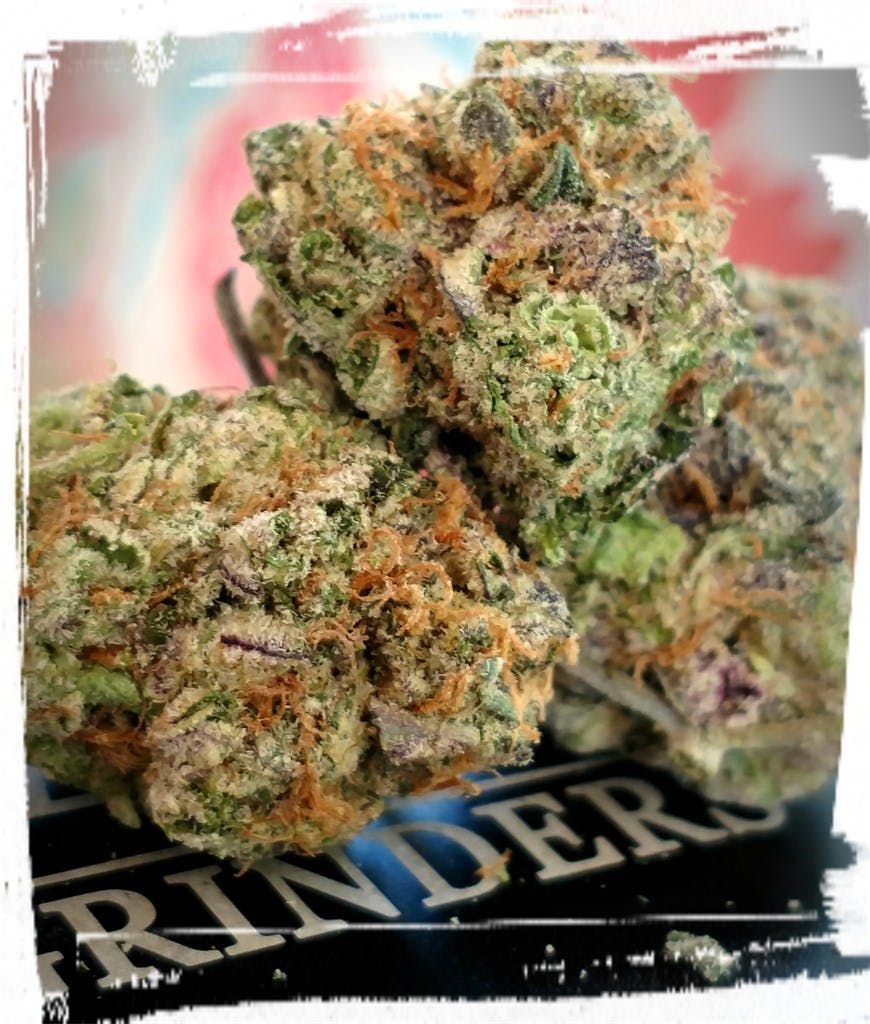 Blue Cookies aka Blue GSC, Blue Girl Scout Cookies Weed Strain