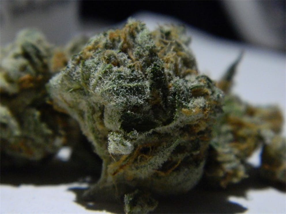 Photos of Blue Diamond Weed Strain Buds Leafly