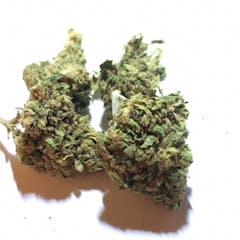 User uploaded image of Blue Diesel