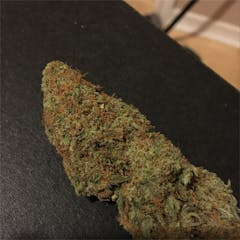 User uploaded image of Blue Dot