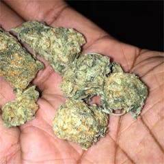 User uploaded image of Blue Dot