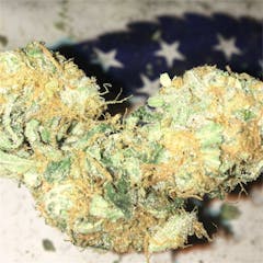 User uploaded image of Blue Dot