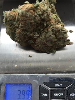 User uploaded image of Blue Dot