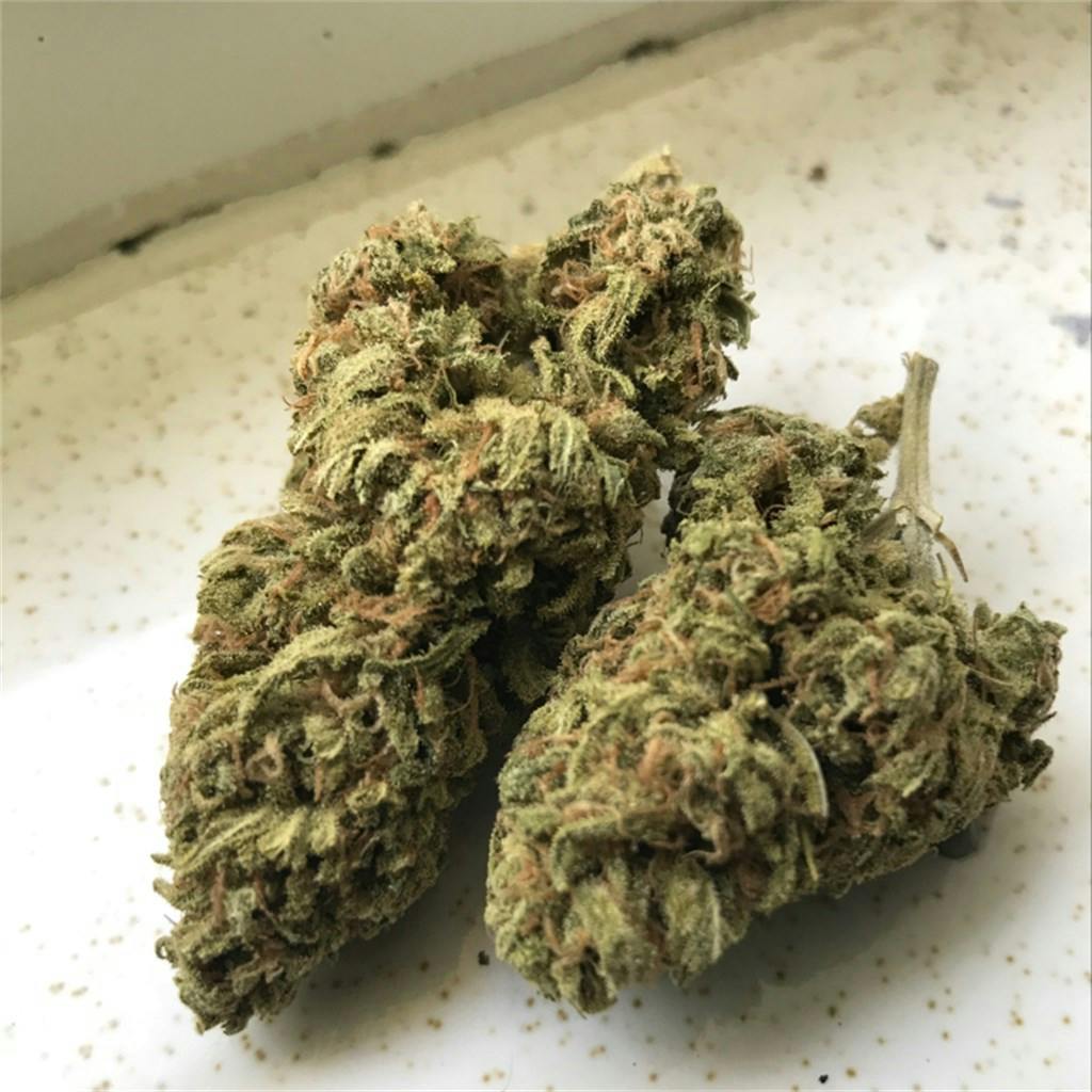 Blue Dragon Weed Strain Information Leafly