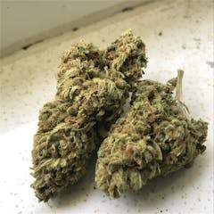 User uploaded image of Blue Dragon