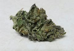 User uploaded image of Blue Dragon